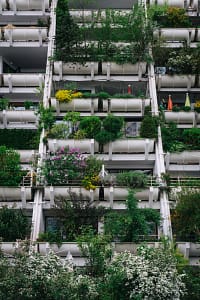 Nature en ville