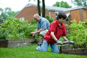 Père et fils faisant du jardinage au potager
